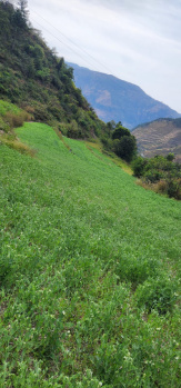  Commercial Land for Sale in Theog, Shimla