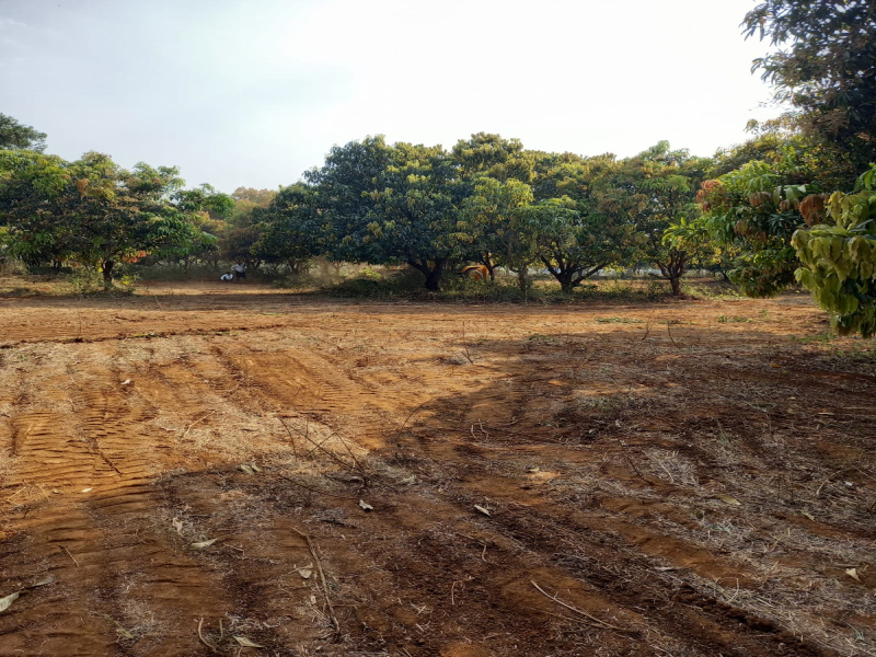  Residential Plot 22000 Sq.ft. for Sale in Neral, Raigad