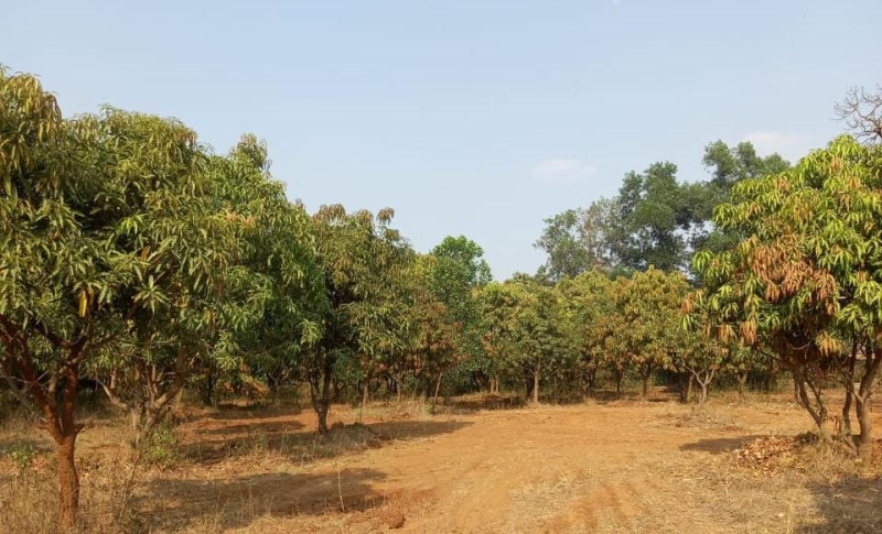  Residential Plot 22000 Sq.ft. for Sale in Neral, Raigad