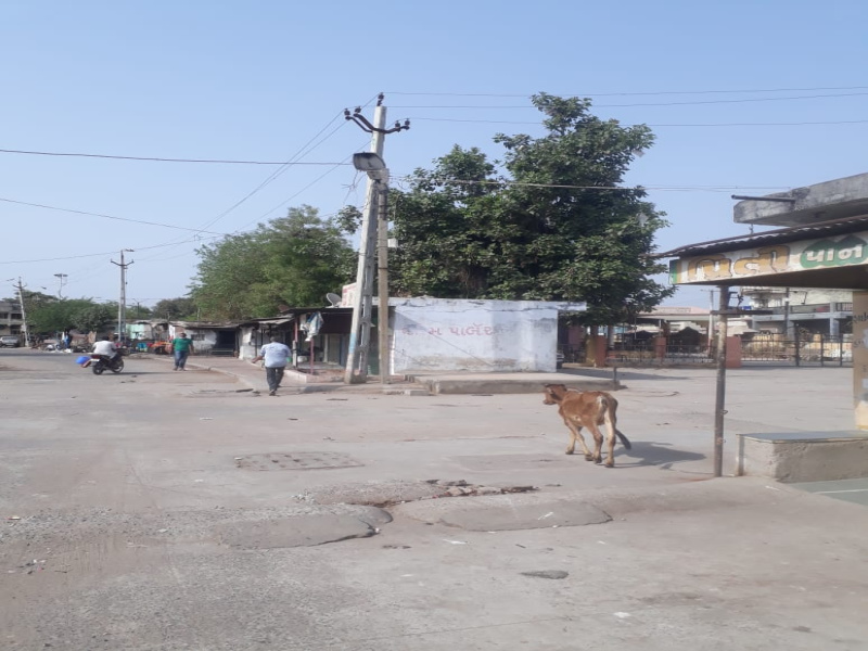  Commercial Shop 225 Sq.ft. for Sale in Kalol, Gandhinagar