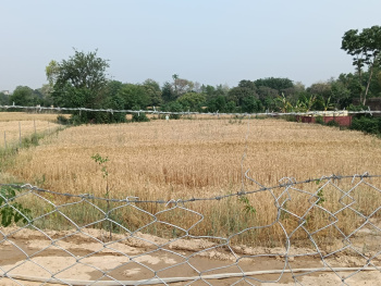 1 RK Farm House for Sale in Haroli, Una