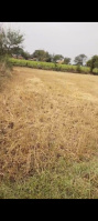  Agricultural Land for Sale in Kawardha, Kabirdham