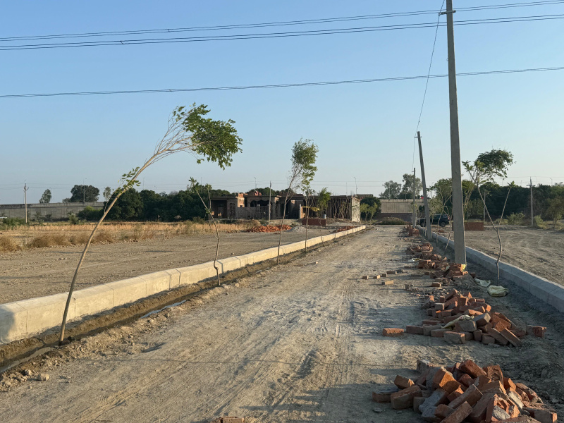  Residential Plot 1000 Sq.ft. for Sale in Kursi Road, Lucknow