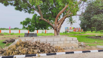  Commercial Land for Sale in Angadu, Chennai