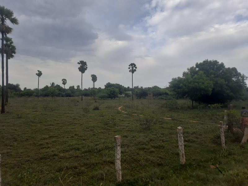  Agricultural Land 40 Cent for Sale in Papanasam, Tirunelveli