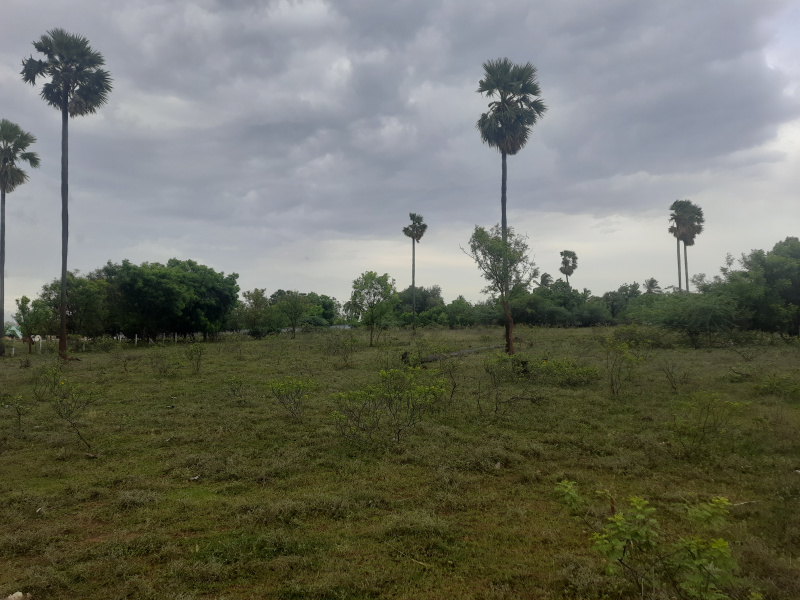  Agricultural Land 40 Cent for Sale in Papanasam, Tirunelveli