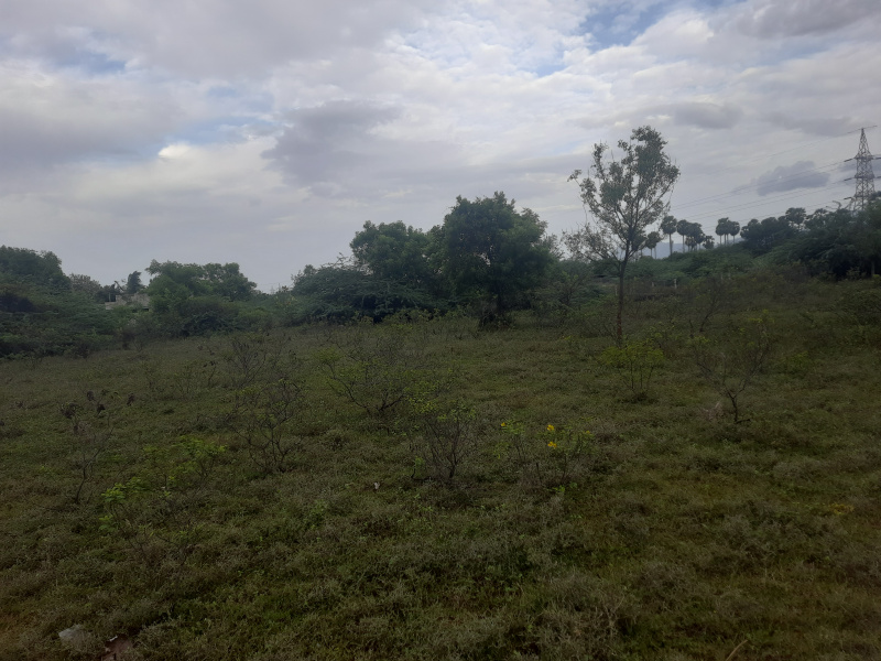  Agricultural Land 40 Cent for Sale in Papanasam, Tirunelveli