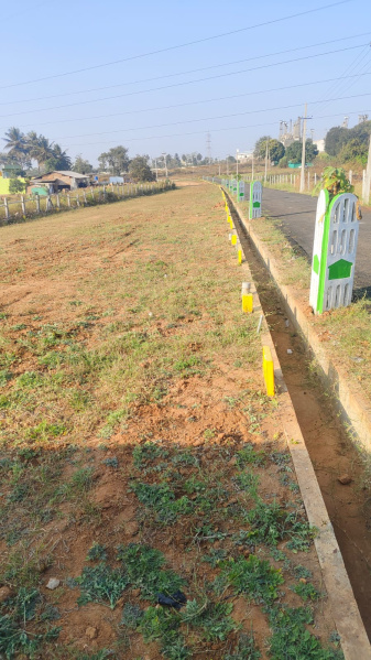  Residential Plot 1135 Sq.ft. for Sale in Nelamangala, Bangalore