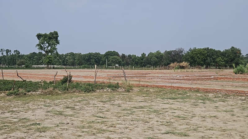  Residential Plot 1000 Sq.ft. for Sale in Deva Road, Lucknow