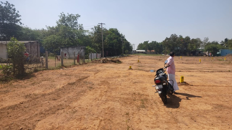  Residential Plot 1200 Sq.ft. for Sale in Aarchampatti, Tiruchirappalli