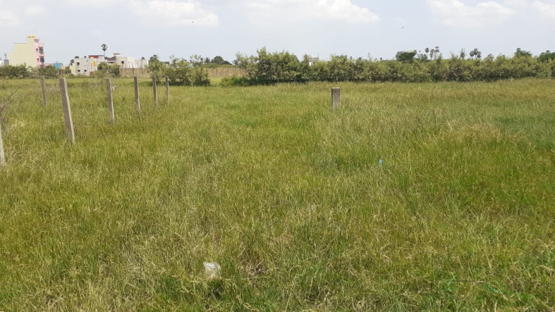  Residential Plot 2364 Sq.ft. for Sale in Red Hills, Chennai