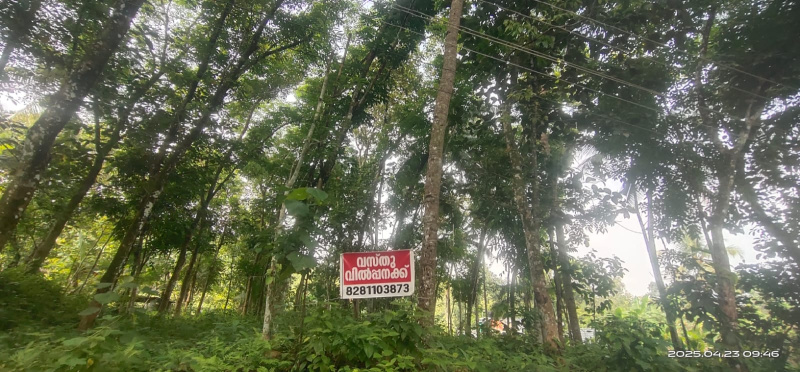  Residential Plot 20 Cent for Sale in Omalloor, Pathanamthitta