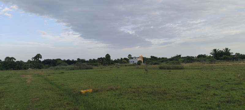  Residential Plot 2400 Sq.ft. for Sale in Somangalam, Chennai