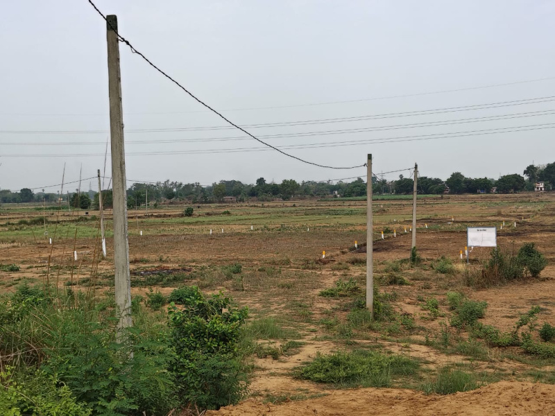  Residential Plot 1200 Sq.ft. for Sale in Kanhauli, Bihta, Patna