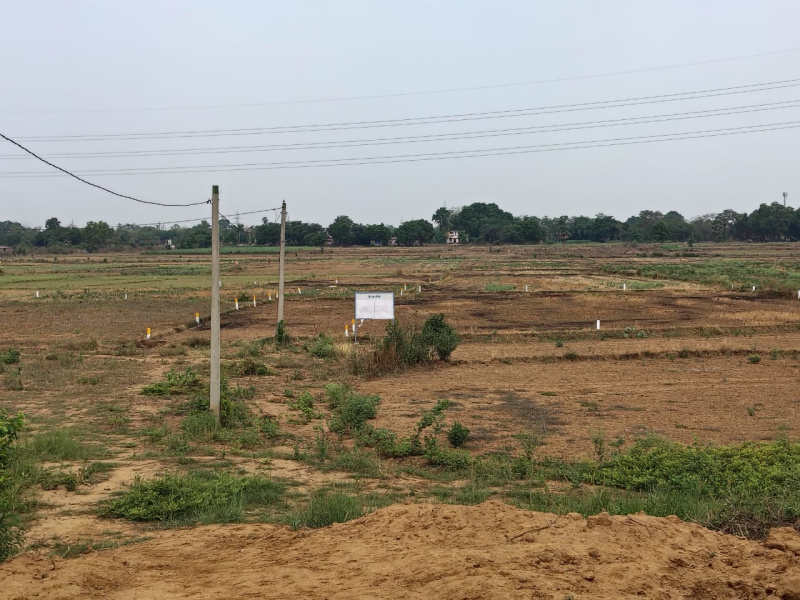  Residential Plot 1200 Sq.ft. for Sale in Kanhauli, Bihta, Patna
