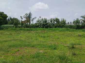  Residential Plot for Sale in Gabbur, Hubli