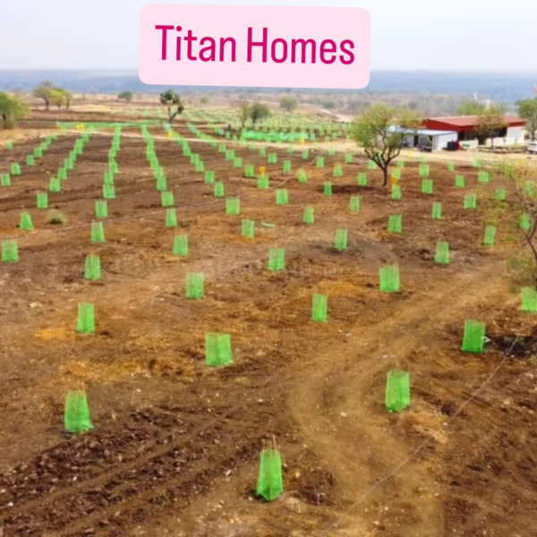  Residential Plot 605 Sq.ft. for Sale in Narayankhed, Sangareddy