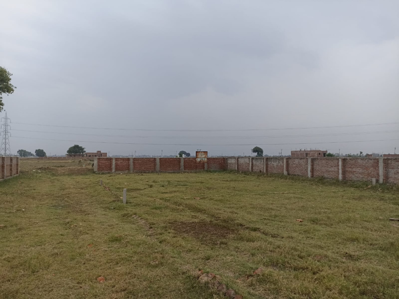 Residential Plot 800 Sq.ft. for Sale in Danapur, Patna