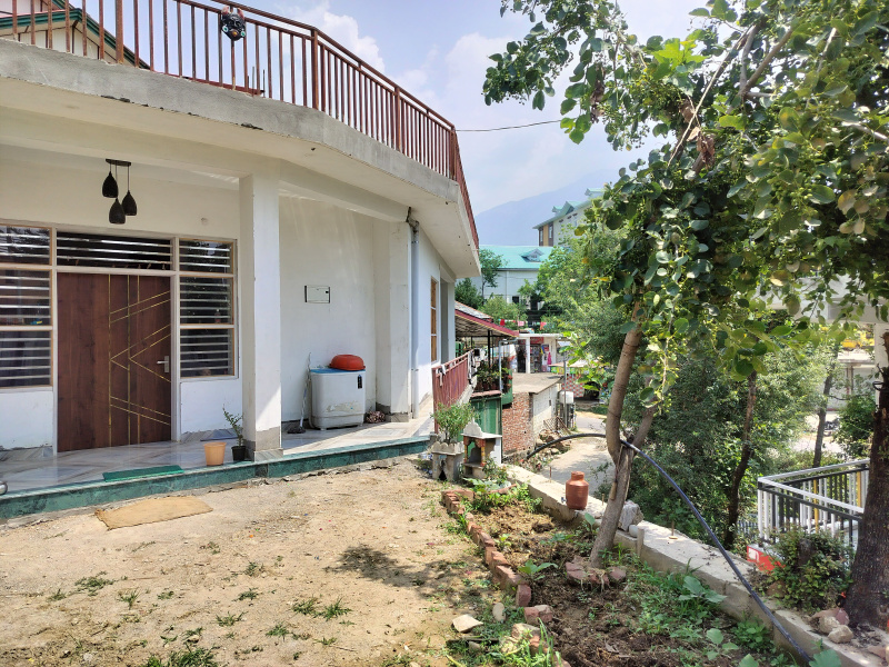 3 BHK House 5000 Sq.ft. for Sale in Banuri, Palampur