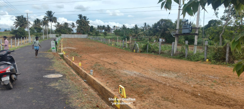 1 RK Apartment 1200 Sq.ft. for Sale in Nelamangala, Bangalore