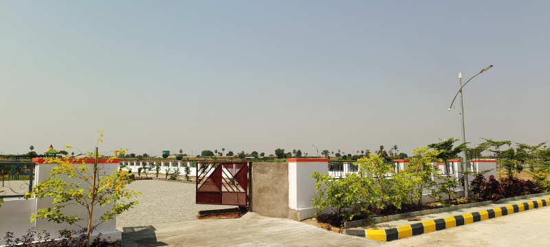  Residential Plot 200 Sq. Yards for Sale in Shamshabad, Hyderabad