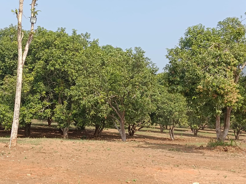  Residential Plot 10000 Sq. Yards for Sale in Madhurawada, Visakhapatnam
