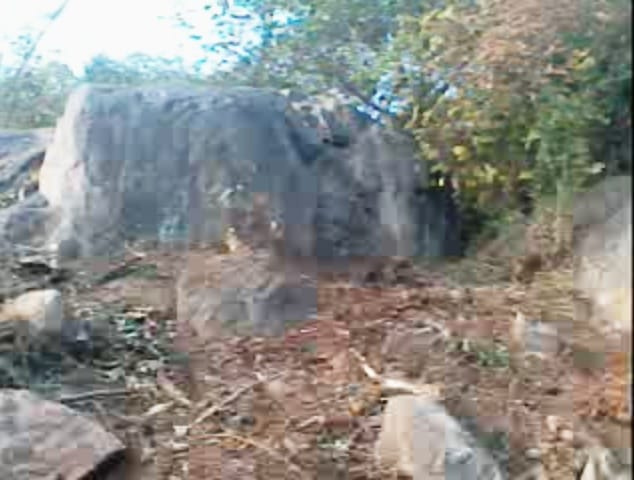  14 Ares Residential Plot for Sale in Buchireddypalem, Nellore