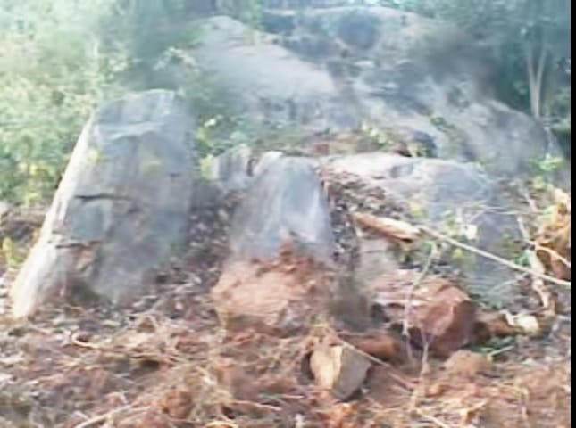  14 Ares Residential Plot for Sale in Buchireddypalem, Nellore