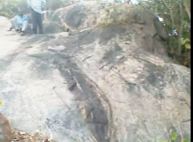  14 Ares Residential Plot for Sale in Buchireddypalem, Nellore