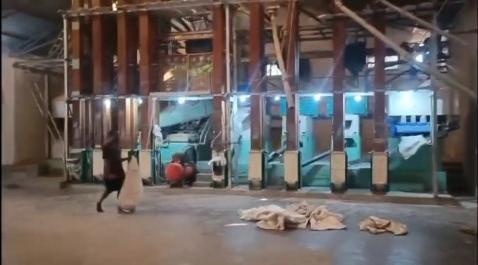  44000 Sq.ft. Commercial Shop for Sale in Gudari, Rayagada