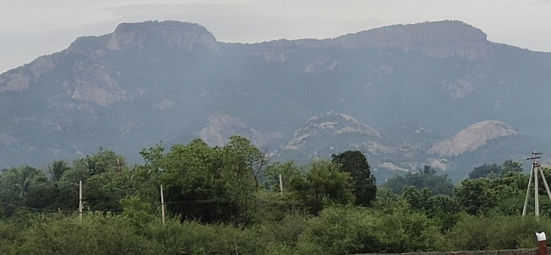 Residential Plot 3 Acre for Sale in Chandragiri, Tirupati