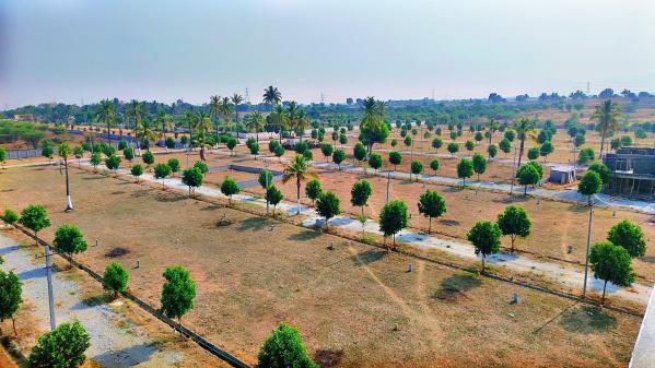  Residential Plot 1200 Sq.ft. for Sale in Gauribidanur, Bangalore