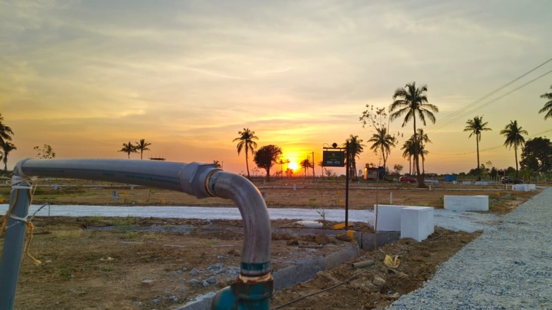  Residential Plot 1200 Sq.ft. for Sale in Gauribidanur, Bangalore