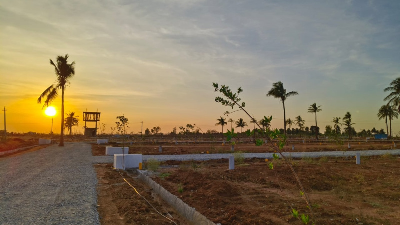  Residential Plot 1200 Sq.ft. for Sale in Gauribidanur, Bangalore