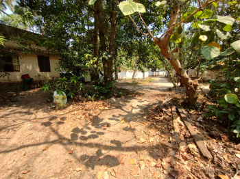  Residential Plot for Sale in Kanimangalam, Thrissur