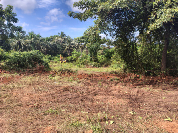  Industrial Land for Rent in Cuncolim, Goa