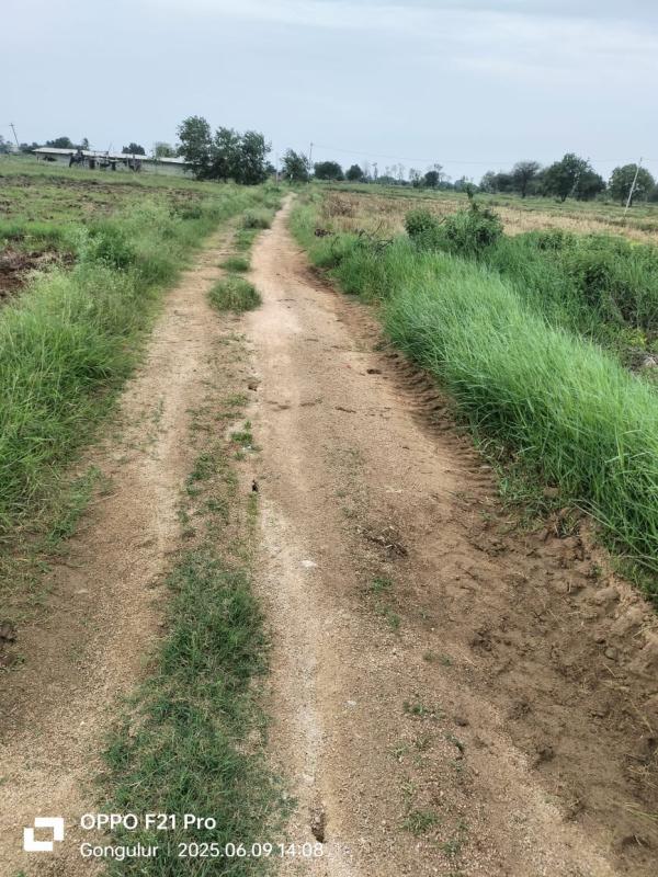  Agricultural Land 1 Acre for Sale in Ismailkhanpet, Sangareddy