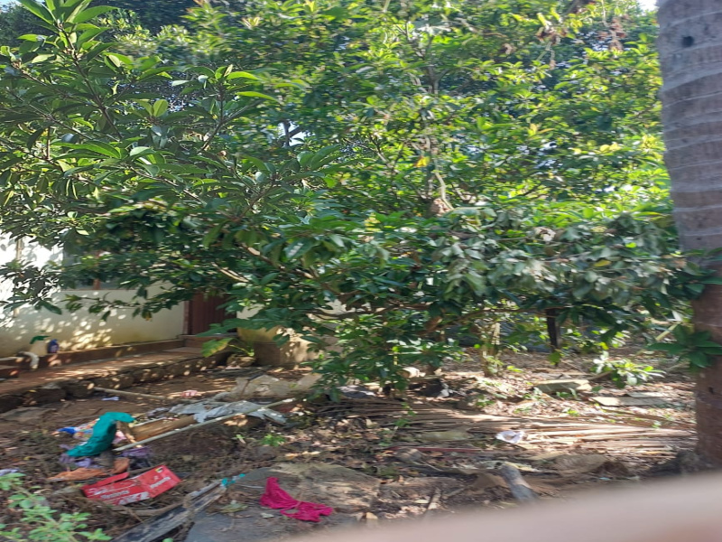  Residential Plot 5 Guntha for Sale in Sirsi, Uttara Kannada
