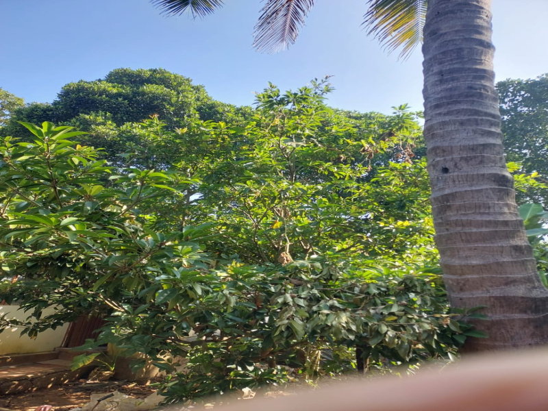  Residential Plot 5 Guntha for Sale in Sirsi, Uttara Kannada