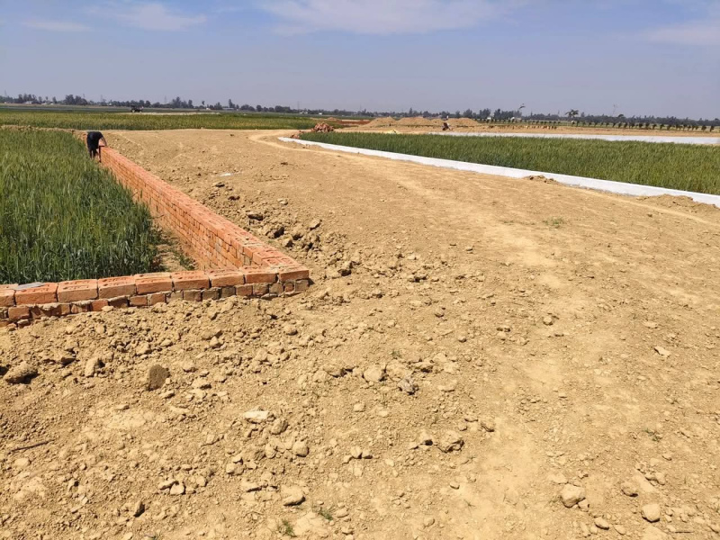  Residential Plot 1000 Sq.ft. for Sale in Maniram, Gorakhpur