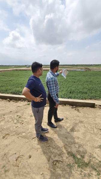  Residential Plot 800 Sq.ft. for Sale in Moharipur, Gorakhpur