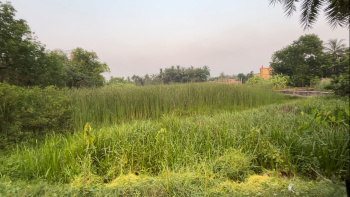  Residential Plot for Sale in Thakurpukur, Kolkata