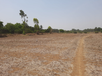  Agricultural Land for Sale in Doddaballapur, Bangalore