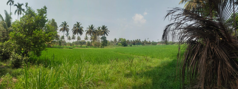  Agricultural Land 1 Acre for Sale in Kanakadasa Nagar, Mysore