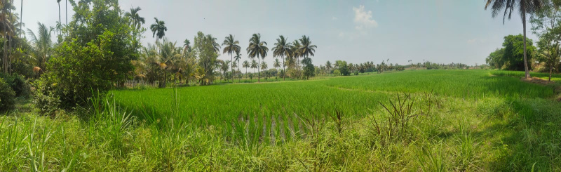 Agricultural Land 1 Acre for Sale in Kanakadasa Nagar, Mysore