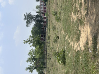  Agricultural Land for Rent in Daltonganj, Palamu