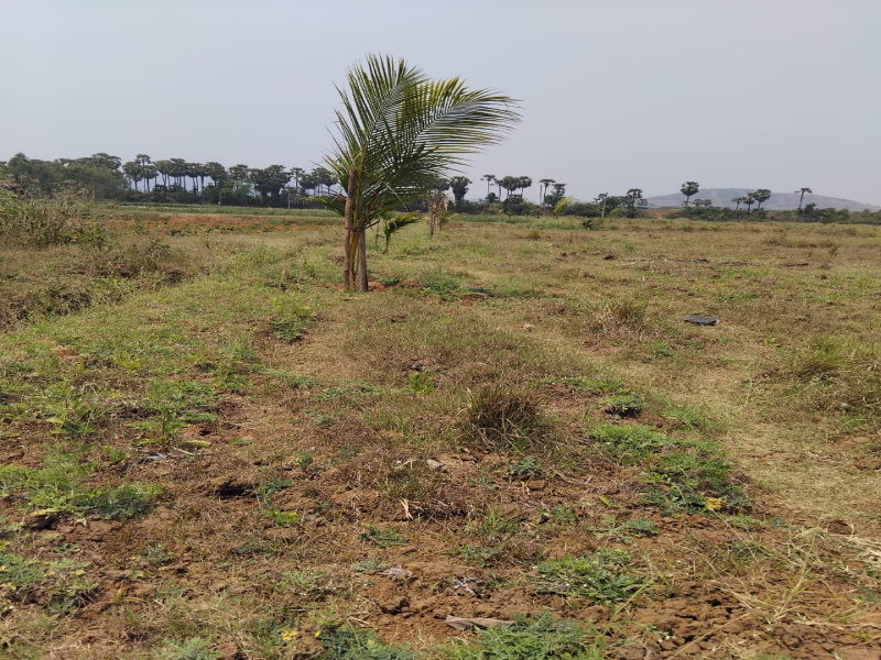  Residential Plot 17000 Sq. Yards for Sale in Anandapuram, Visakhapatnam
