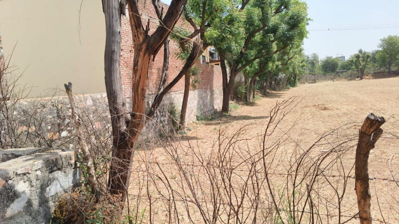  Residential Plot 167 Sq. Yards for Sale in Budhsinghpura, Sanganer, Jaipur