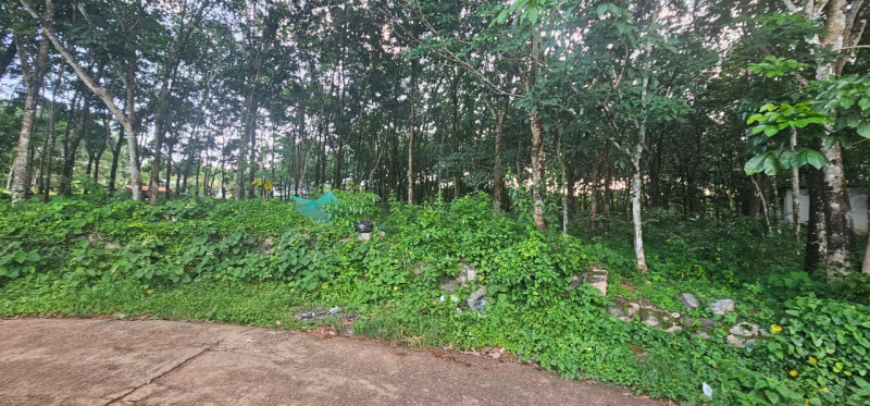  Residential Plot 30 Cent for Sale in Pathanapuram, Kollam