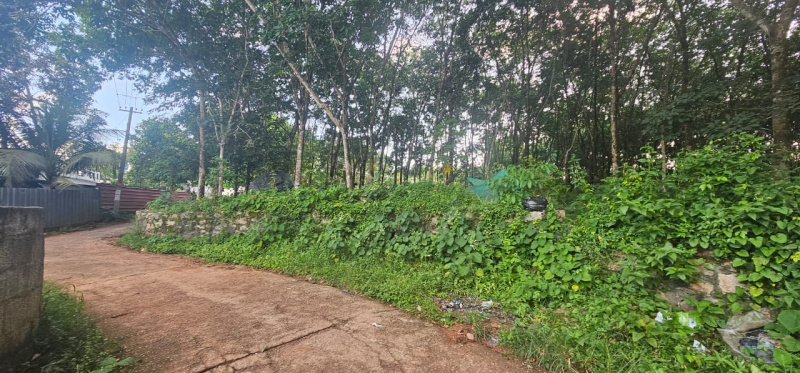  Residential Plot 30 Cent for Sale in Pathanapuram, Kollam